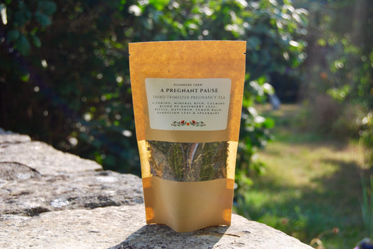 A Pregnant Pause - Third Trimester Pregnancy Tea