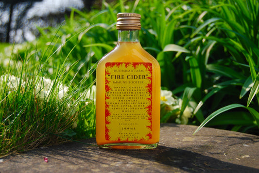 Fire Cider - New Batch Coming Winter '25