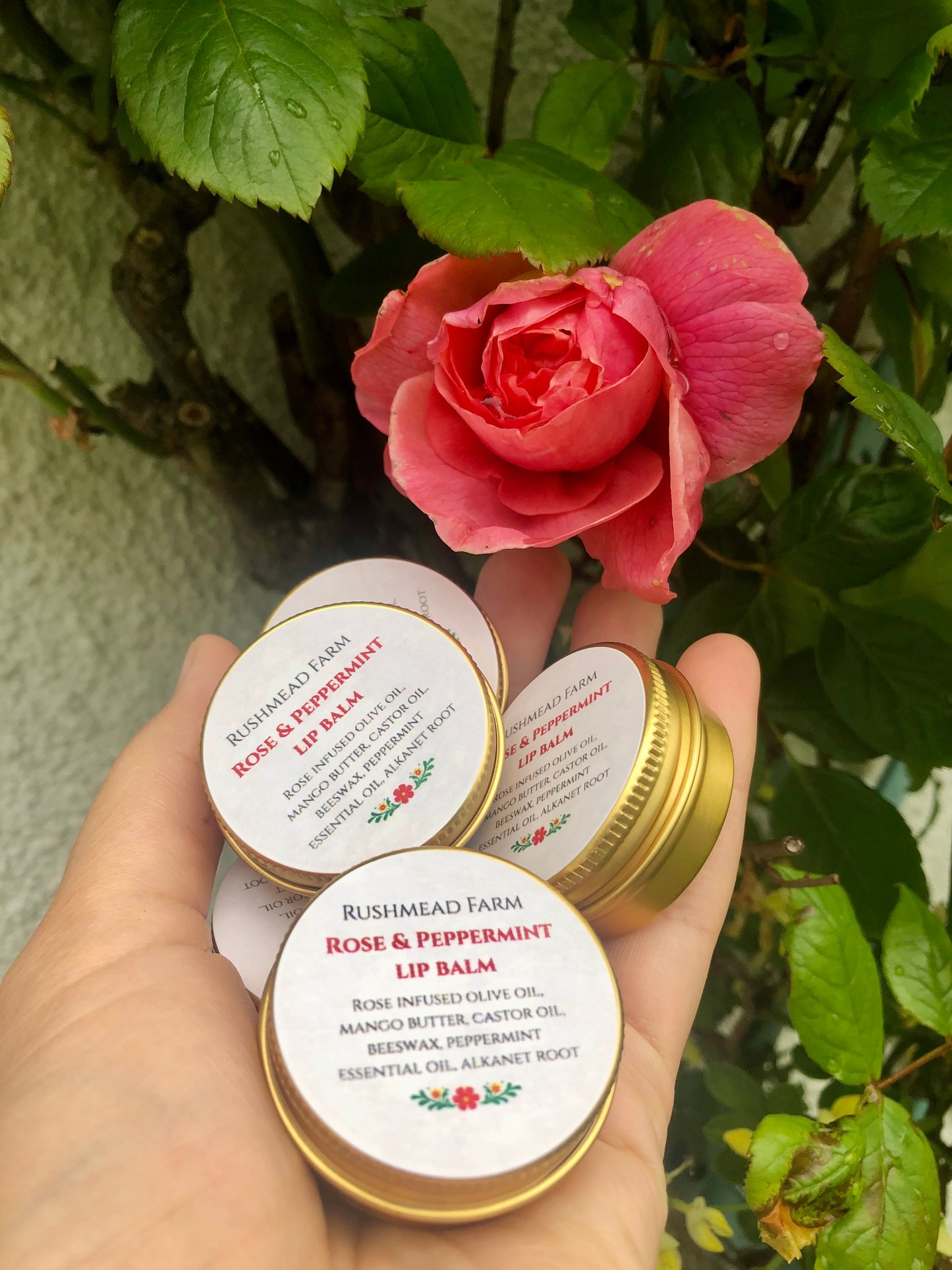 Rose and Peppermint Lip Balm