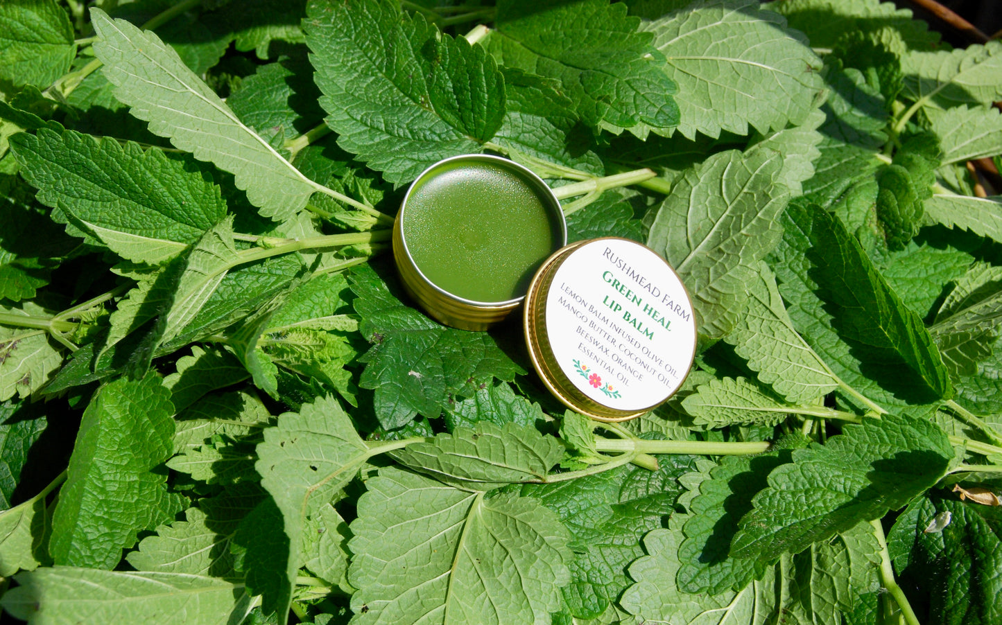 Green Heal Lip Balm (Especially Good For Cold Sore Sufferers)