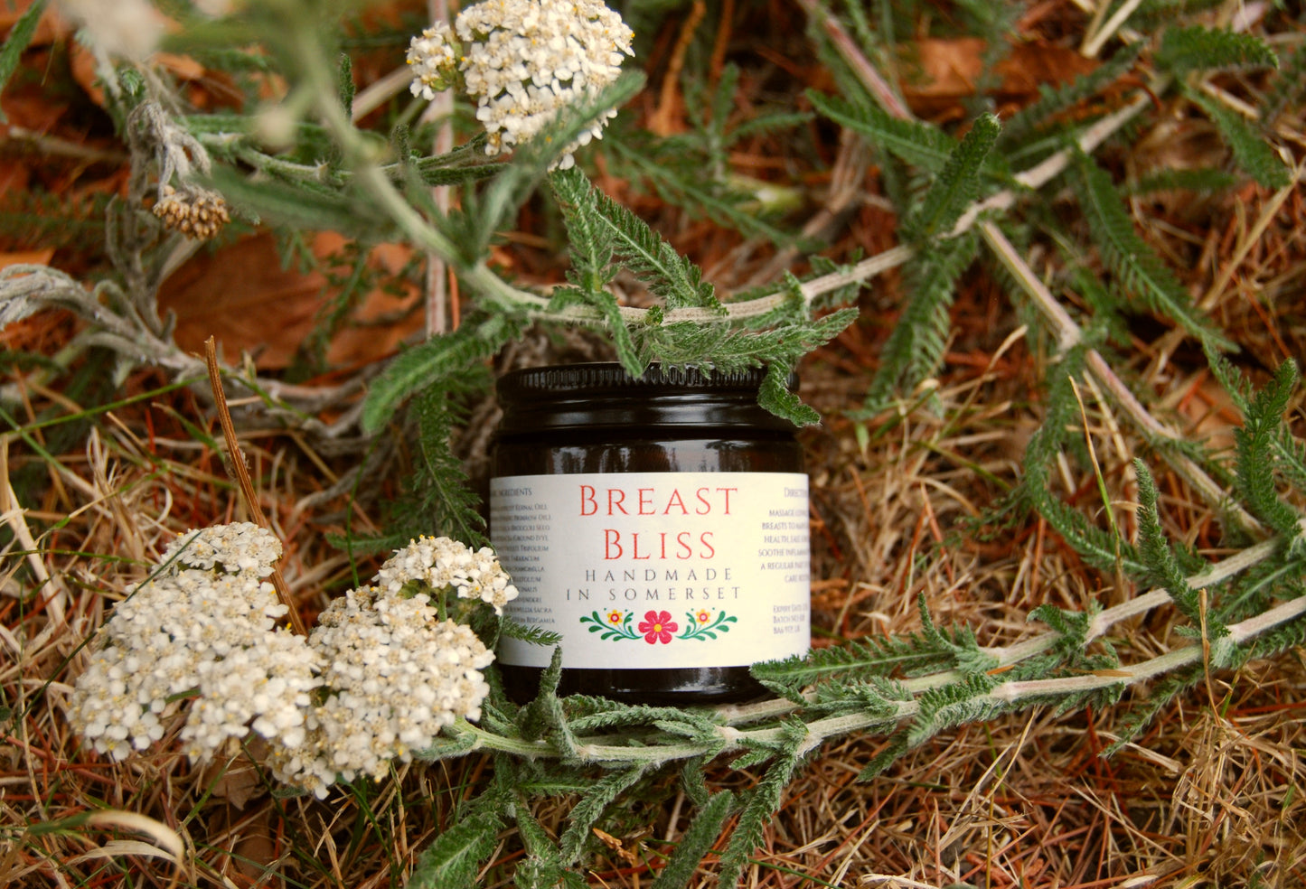 Breast Bliss Balm