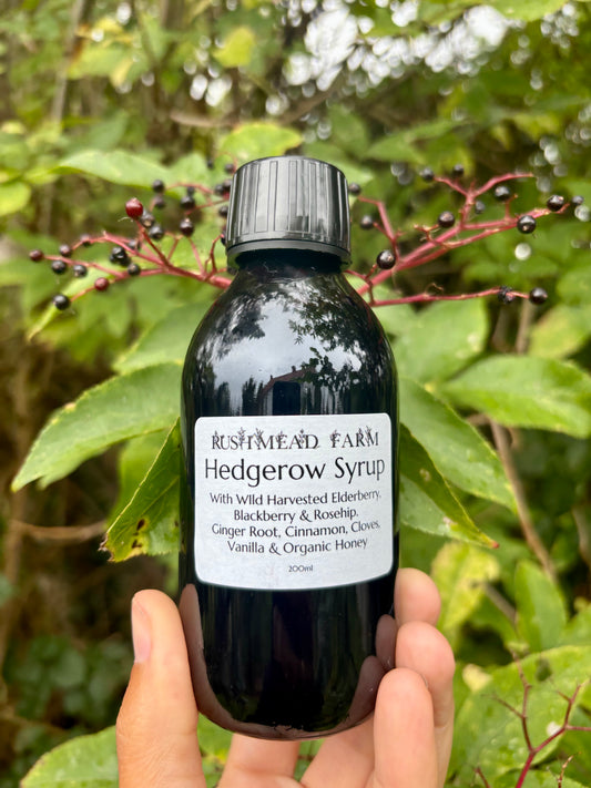 Wild Harvested Hedgerow Syrup
